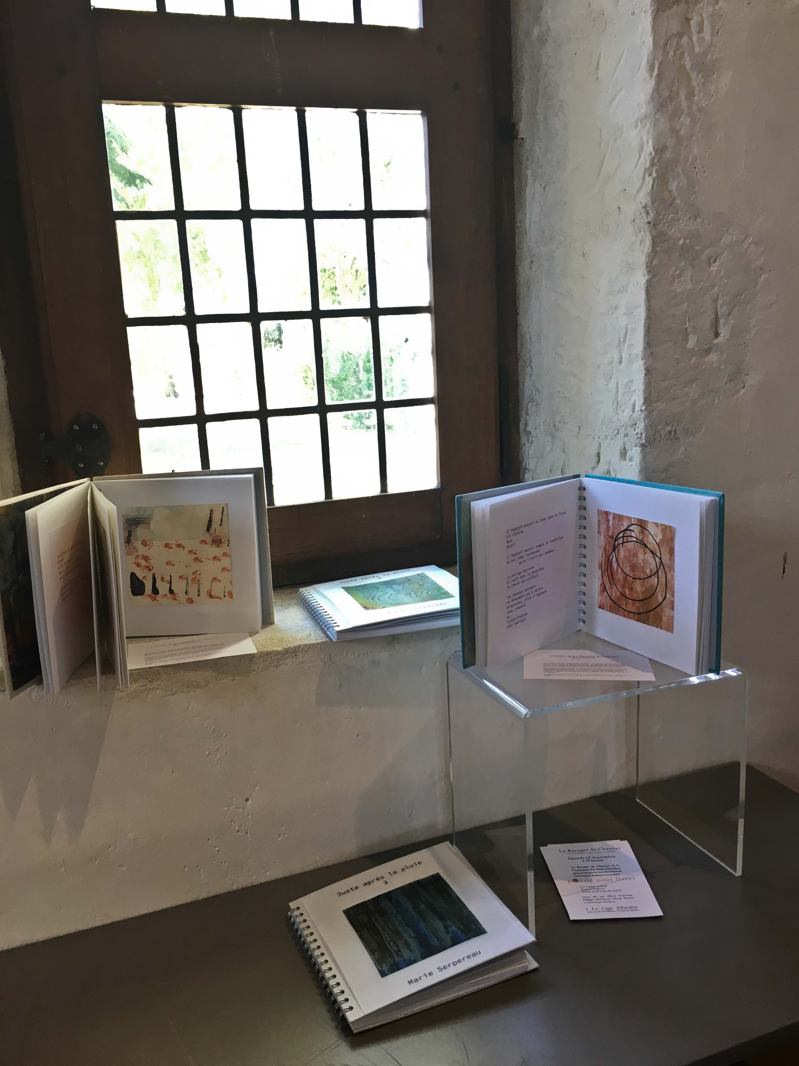 photos de l'exposition de livres